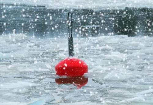 新西兰奥克兰导游词