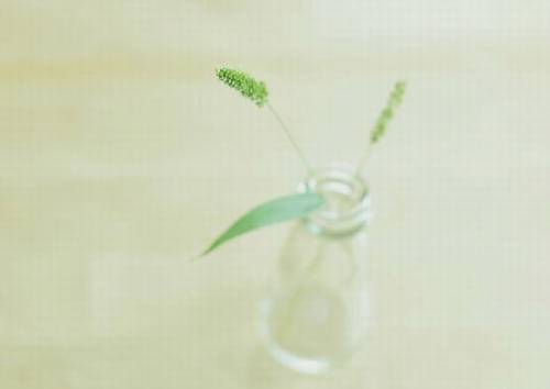 湖北导游词一百字