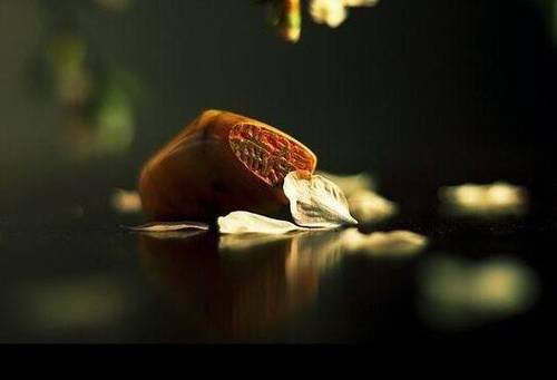 表扬导游词写得好