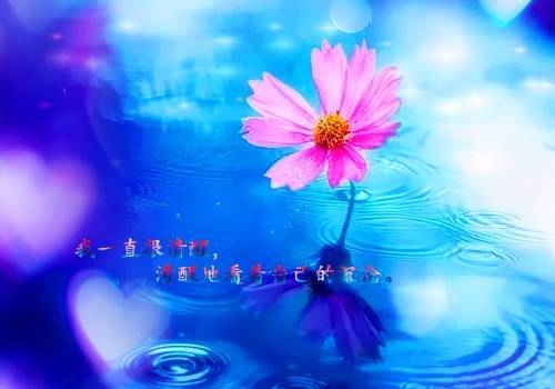 游威尼斯的导游词