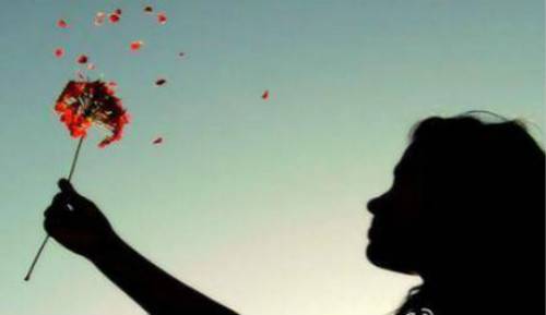 百合山公园导游词