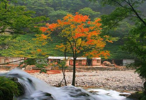 准噶尔盆地导游词