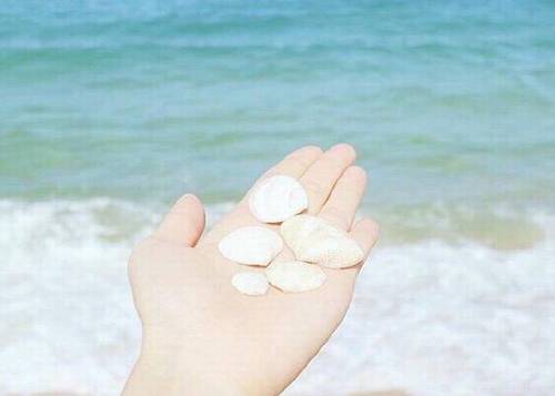 介绍南禅寺的导游词