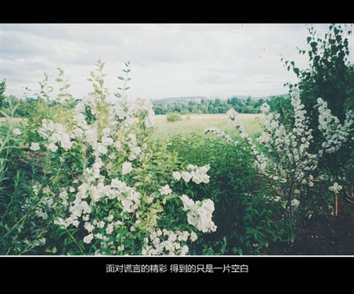 四年级5古诗两首