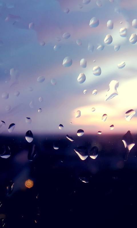 赏析古诗虞美人