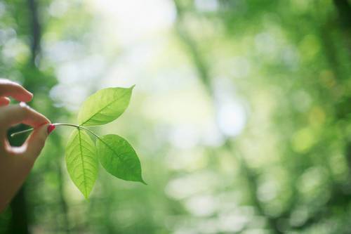 赞黄河的古诗句