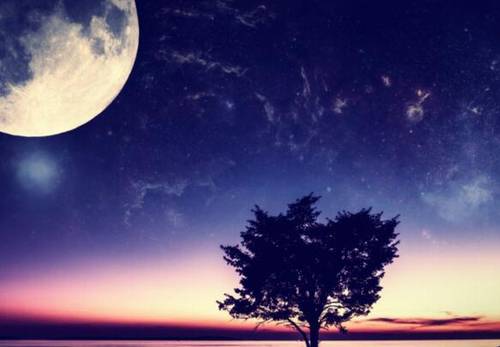 秋天的树叶古诗