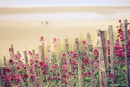 描写琴的古诗词