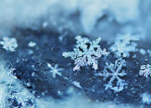 西湖孤山英文导游词