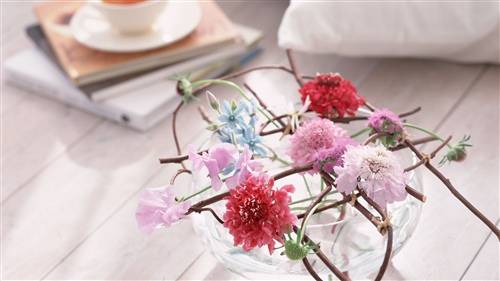 赞美景色的古诗