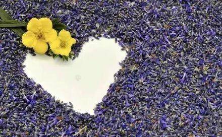 歌诵祖国的古诗