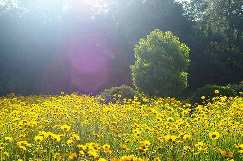 一中秋节的古诗