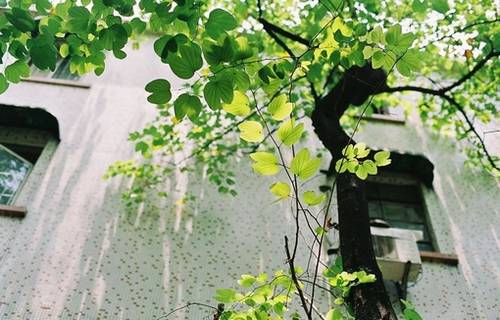 《逢入京使》古诗