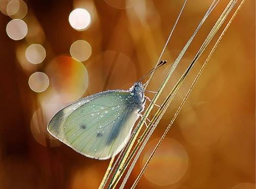 著名古诗词诗句