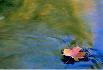 太原汾河二库导游词