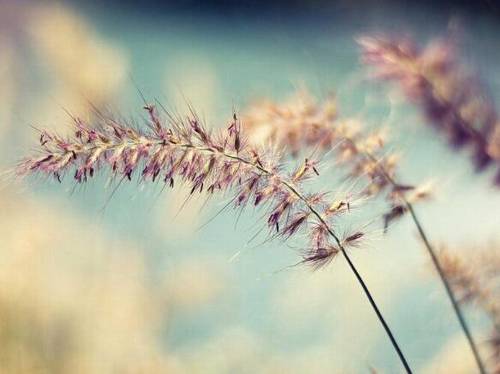 太原简介导游词