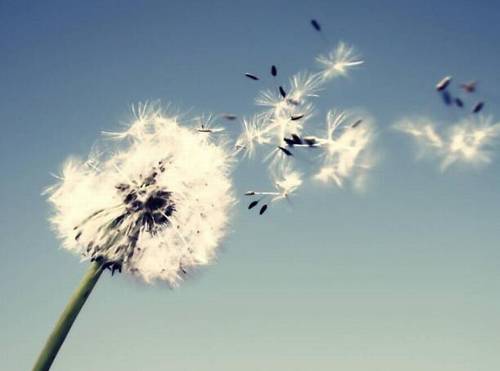 描写夕阳美景的古诗词