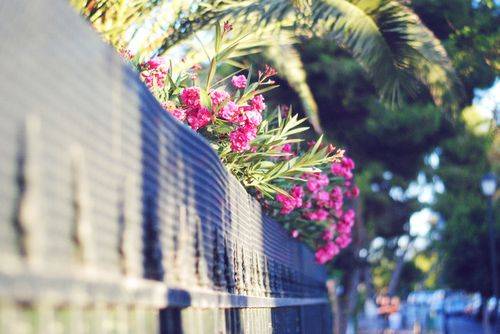 惠山古筝导游词