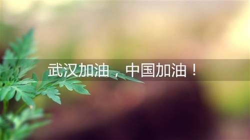 宁波名胜古迹导游词