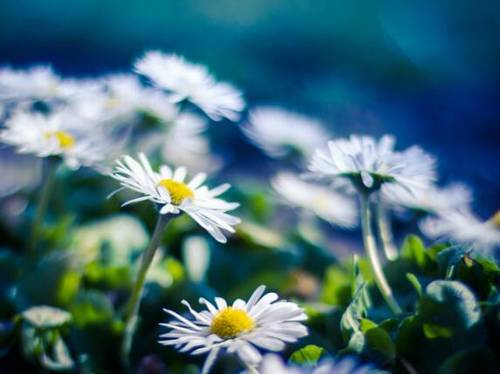 越王山导游词歌词