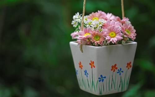 二小学校的导游词