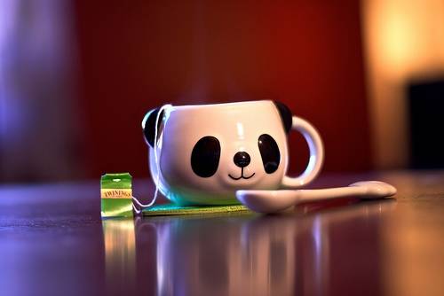 学写导游词精彩开头