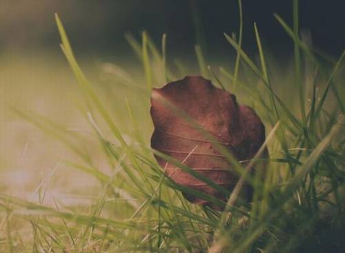 极乐寺俄语导游词