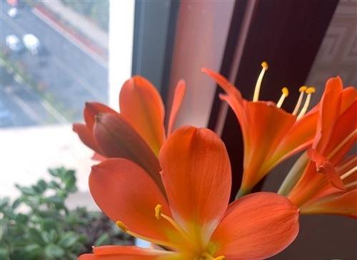 龙宫日语导游词