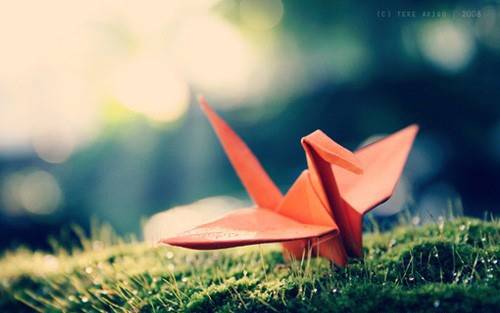 介绍寿县导游词