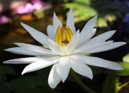 赐儿山景区的导游词