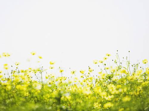 铁溪风景区导游词