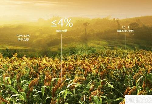 泸州老窖独享的七大酿酒资源_调制酿造