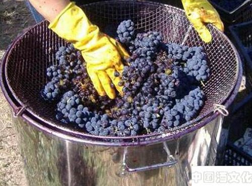 ���Ѿ�����֪ʶ ��ĸ�����ѾƷ����е���Ҫ����_��������_