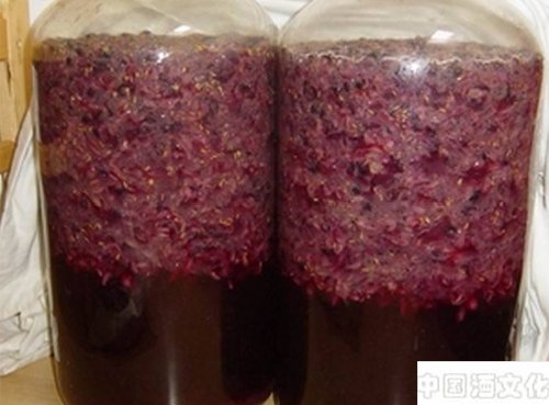 ���Ѿ�����֪ʶ ��ĸ�����ѾƷ����е���Ҫ����_��������_