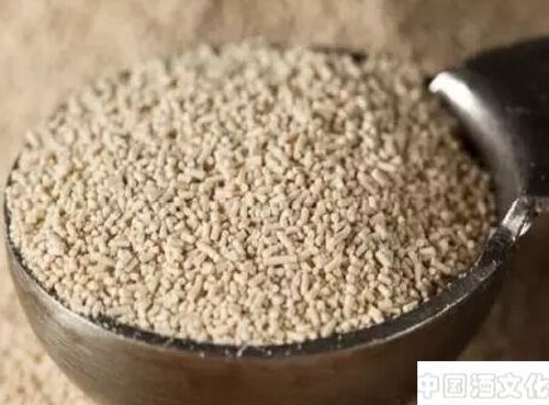 ���Ѿ�����֪ʶ ��ĸ�����ѾƷ����е���Ҫ����_��������_