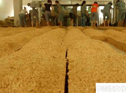 白酒酿造理论:制曲过程中的物质变化_调制酿造_