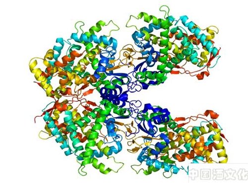 白酒酿造相关知识:大曲中的酶系_调制酿造