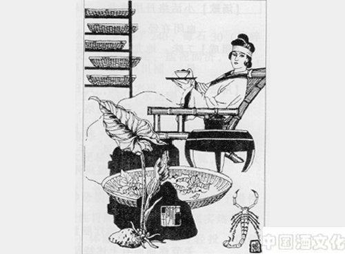 疏散外风剂:牵正散_调制酿造