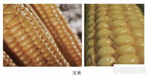 酿酒的主要原料由哪些_调制酿造