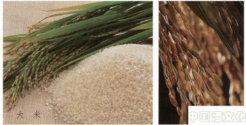 酿酒的主要原料由哪些_调制酿造