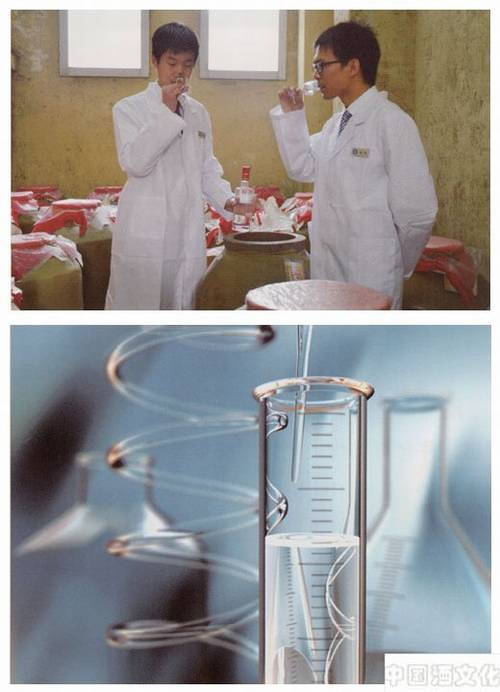 ʲô�ǰ׾Ƶ�������ζ_��������