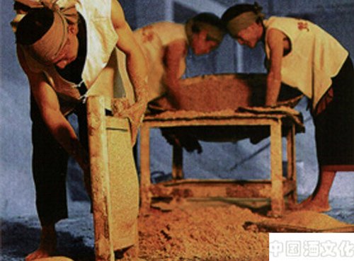 什么是糖化发酵剂,它有什么作用,是怎样制作的_调制酿造