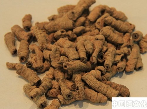 巴戟天酒_调制酿造