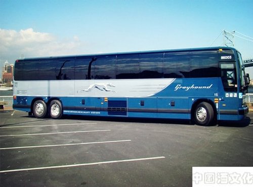 酒政法规:坐汽车可以带白酒吗?_酒政法规