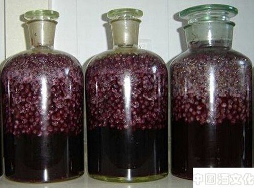 为什么不提倡大家喝自酿葡萄酒_品酒养生