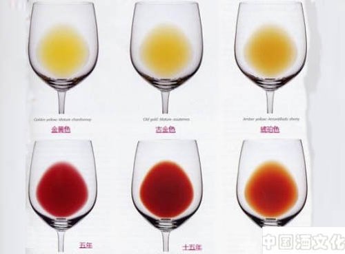 迅速辨别葡萄酒真假的小技巧_品酒养生
