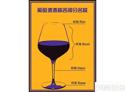 酒杯如何影响葡萄酒的品鉴_品酒养生