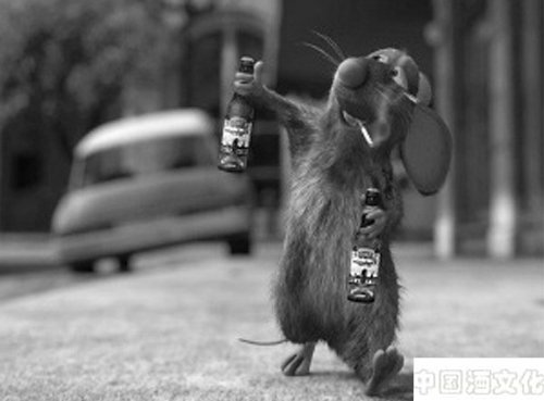 ����Ҳ������ƣ�_��ʷ�Ļ�