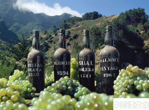 马德拉酒的产地_酒史文化