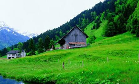 新西兰装逼指南